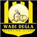 Wadi Degla SC